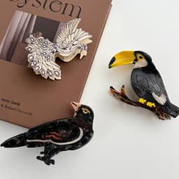 1pc Bird Acetic Acid Grab Clip, Woodpecker Phoenix Crow Animal Hairpin, Creative Versatile Large Shark Clip Hair Accessories