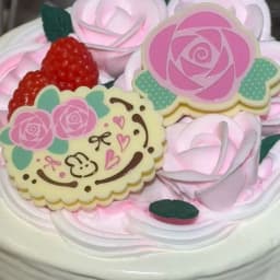 2Pcs Rabbit Animal Hair Clip Set for Women Cute Rose and Bunny Acrylic Barrettes Sweet Design Hairclips Jewelry