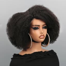 Afro Wigs for Black Women Kinky Curly Lace Front Wig Afro Short Bob Human Hair Wig 13x4x2 Lace Natural Hairline 250% Density