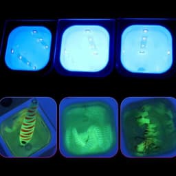 UV Lighter Accumulator Jig Soft Bait LED Flash Glow In Dark Operated Fishing Tackle Squid Light Charger For Sea Fishing