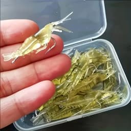 This Is a Set That Includes 1 Box Artificial Bait and Hook Fishing Equipment, Very Suitable for Fishing Enthusiasts