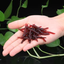 Sougayilang Fishing Lures Lifelike Fishy Smell Red Soft Lures Simulation Luminous Worms Artificial Fishing Lure Fishing Tackle