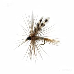 10 pcs Adams Dry Fly Fishing Flies, Hand-Tied Realistic Insect Imitation Lures with High Carbon Steel Hooks, Freshwater Floati