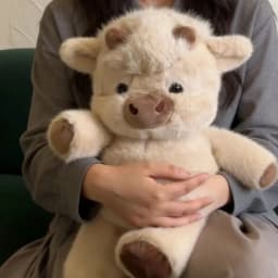 45/60CM Kawaii Cute Highland Calf Doll Running Little Cow Su Plush Toy Companion Toy Holiday Birthday Gift Decorative Ornament