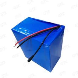 Gtk 16S 48V 40AH 50Ah Lifepo4 lithium battery pack with 50A 80A Bluetooth BMS APP for 2000W scooter bike tricycle boat go cart