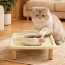 Elevated Cat Food Bowl Platform Portable for Automatic Pet Feeders Raised Feeding Stand Wooden Support for Cats and Dogs