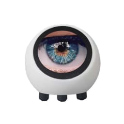espHome Assistant Compatible XiaoZhi AI Voice Chat Robot Ball ESP32-S3 1.28 inch LCD N16R8 Development Board Wifi Clock DeepSeek