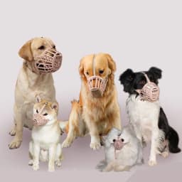 Outdoor Anti-eating Dog Muzzle for Medium Large Dogs Adjustable Pet Mask Golden Resistant Labrador Accessories Mascotas Supplies