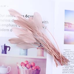 10/20/50/100PCS Colorful Goose Feathers 15-20CM Dyed Goose Plumes for DIY Crafts Wedding Carnival Party Home Vase Decor Plumage