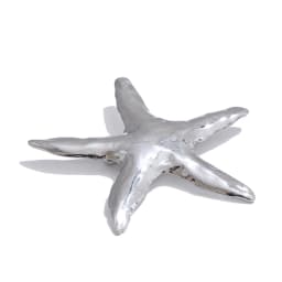 Yhpup 2025 Waterproof Smooth Stainless Steel Metal Starfish Brooches Pin Ocean Style Texture Clothing Accessories Wholesale