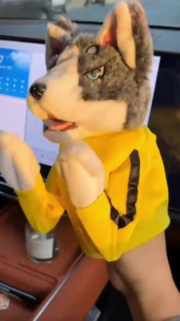 Kid Kung Fu Animal Toy Husky Glove Doll Game Plush Toy Boxer Hand Puppet Dog Action Interactive Toys Party Social Game