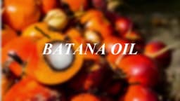 100% Batana Hair Fast Growth Oil Set African Crazy Traction Alopecia Batana Hair Mask Anti Hair Break Hair Regrowth Treatment