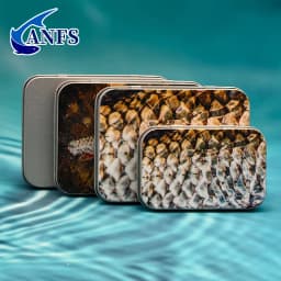 ANFS 1pc Metal Fly Fishing Tackle Box -Fly Hook Storage Box, Storage Box for Bionic Fly, Metal Storage Box for Outdoor Fishing