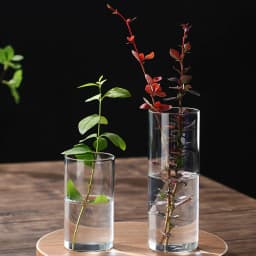 New Transparent Glass Hydroponic Vase Modern Cylinder Flower Centerpiece Clear Vases Use for Floral Wedding Home Decoration