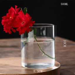 New Transparent Glass Hydroponic Vase Modern Cylinder Flower Centerpiece Clear Vases Use for Floral Wedding Home Decoration