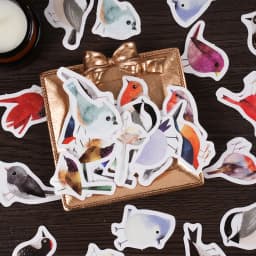 46Pcs Kawaii Little Bird Chirp Cartoon Animal Hand Account DIY Stickers Cute Stationery for Students Box Labels