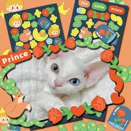 MOHAMM-Cute Cartoon Glitter Laser Animal Stickers, Photo Frames Greeting Cards, Diary Journal Decorative Materia, 12 Sheets