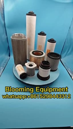 0532140156 V532140157 0532140155 Genuine Spare Parts Oil Exhaust Filter Liquid Ring Vacuum Pump Accessories