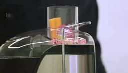 Stainless steel fruit juicer Centrifugal Strong Power Easy To Clean 800W Motor Big Mouth Large for Fruits And Vegetables