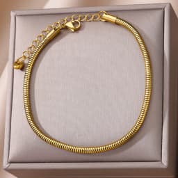 Anklets for Women Foot Leg Bracelets Summer Beach Stainless Steel Snake Chain Anklet New Aesthetics Jewelry Accessories Gift