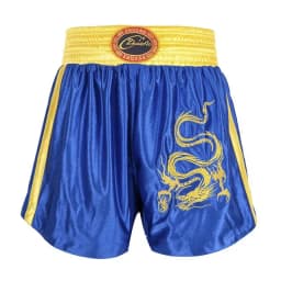 Muay Thai Pants Dragon Embroidery Boxing Shorts and Vest Crossfit Sanda Wushu Uniform Martial Arts Kickboxing MMA Fight Clothing