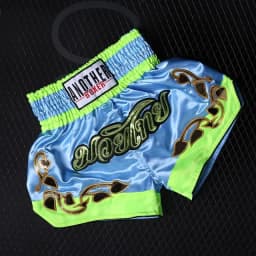 Muay Thai Pants Embroidery Boxing Shorts Women Men Satin Fight Kickboxing Training Trunks Kids Boy Girl Martial Arts MMA Clothes