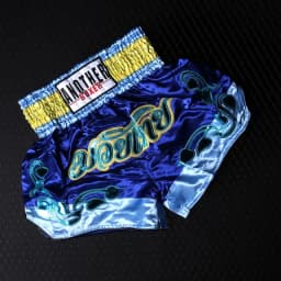 Muay Thai Pants Embroidery Boxing Shorts Women Men Satin Fight Kickboxing Training Trunks Kids Boy Girl Martial Arts MMA Clothes