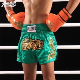 Premium Muay Thai Shorts, Boxing Fight Shorts Embroidery Elastic Waist Breathable for Kickboxing BJJ Martial Arts MMA Training