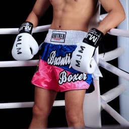 Muay Thai Fight Shorts Shiny Satin Embroidery Boxing MMA Kickboxing Gym Training Trunks Bow Decor Martial Arts Workout Shorts