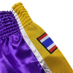 Plain Muay Thai Boxing Shorts Thailand Flag Embroidery Purple Kickboxing Fight Pants Men Women Kids Martial Arts Sparring Trunks
