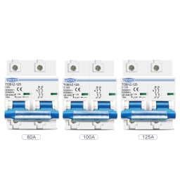 TOMZN 2P DC MCB 600V 125A 100A 80A Circuit Breaker PV System Battery Main Switch
