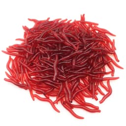 50 or 100 Pcs Shrimp Smell Red Worm Soft Lure 3.5cm Lifelike Earthworm Salt Additive Tackle Artificial Insect Bait for Bass Carp