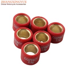 Scooter Variator Roller Set 16x13mm 4g 4.5g 5g 5.5g 6g 7g For Honda 50 Dio GP SP ZX SFX SJ Bali Sky SH Vision Lead SRX X8R 50cc