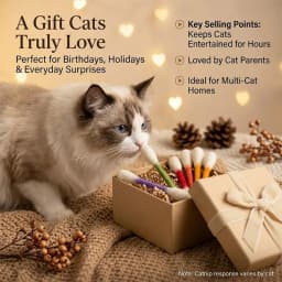 6PCS Cotton Swabs Cat Toy with Catnip Kitten Chew Sticks for Indoor Boredom, Durable Dental Teething Ropes Interactive Accessory