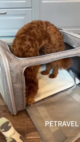 Dog Carrier Bag Soft Side Backpack Cat Pet Carriers Dog Travel Bags Airline Approved Transport For Small Dogs Cats Outgoing
