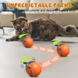New Speedy Tail 2.0 Cat Toy Speedy Tail Cat Toy Interactive Cat Ball Toy Smart Cat Toys Ball Two Speed Adjustment with Tail