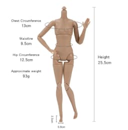 1/6 Doll Body 26CM High Quality Multi-jointed Movable Female Body White Skin/normal Skin Body Fashion Supermodel Heads DIY Parts