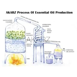 AKARZ Professional Plants Flower Series Top Sale Essential Oils Aromatic for Aromatherapy Diffusers Body Skin Care Aroma Oil B