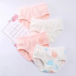 4 Pcs/Lot Girls Underwear Soft Cotton Panties Girls Teens Underpants Baby Girl Kids Children's Triangle Shorts 3-16 Years Old