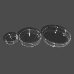 10Pcs 90mm Plastic Petri Dishes For LB Plate Bacterial Yeast with Lids Laboratory Chemistry Equipment Lab Supplies