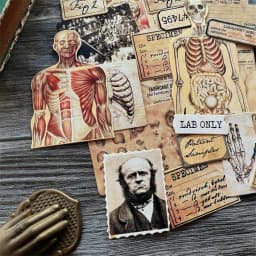DIY Scrapbooking Vintage Doll Material Fabric Anatomy Horrible Junk Album Journal Happy planner decoration Card board photos