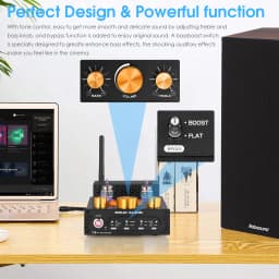 Douk Audio X1 HiFi JAN5725 Vacuum Tube Amplifier Bluetooth5.0 Receiver MM Phono Amp for Home Turntables Power Amp APTX-HD 160W*2