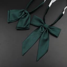 13 Colors Girl Student Bowtie Set Women Lady Ribbon Bow Tie School Party Bowknot Pink Bule Black Classic Butterfly Accessories