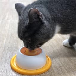 Dog/Cat Licking Bowl, Pet Licking Toy Slow Food Bowl, Non-Slip Licking Bowl, Educational Toy, Makes Dogs/Cats Love Licking.