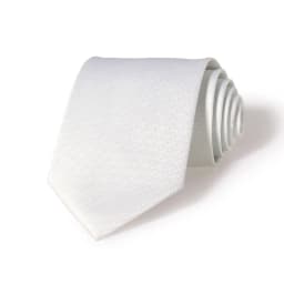 Wholesale Suit White Necktie Men Waterproof Polyester Material Wedding Gift Tie Male Solid Color Formal Neck Tie Accessories
