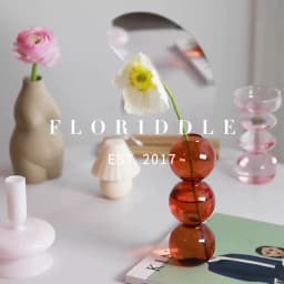 Nordic Creative Glass Bubble Vase Flower Arrangement Spherical Art Flower Ornaments Vases Decoration Home Birthday Gift