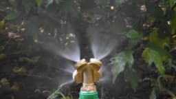1/4" 1/2" 3/4" Brass Garden Sprayer Nozzle 1/2/3/4 Hole Garden Irrigation Water Sprinkler For Pesticide Atomizing Spray Fitting