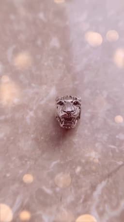Expressive Tiger Bead Europe Strength 2022 Summer Accessories 925 Sterling Silver Charm For Jewelry Making Women Men
