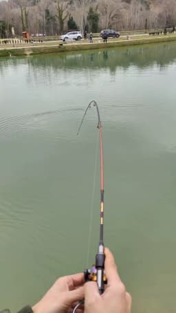 Skmially Spinning rod carbon ul 1.8m 1.68m0.8-5g ultralight casting fishing rod fishing accessories vara de pesca