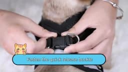 Cat Harness Lead Leash Set Adjustable Reflective Escape Proof Pet Mesh Vest Harness Puppy Dog Collar Small Dog Cat Pet Supplies